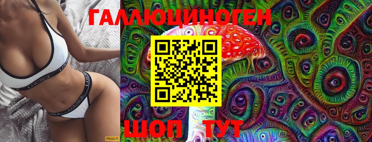 Галлюциногенные грибы Cubensis  Вход с VPN  Киреевск 