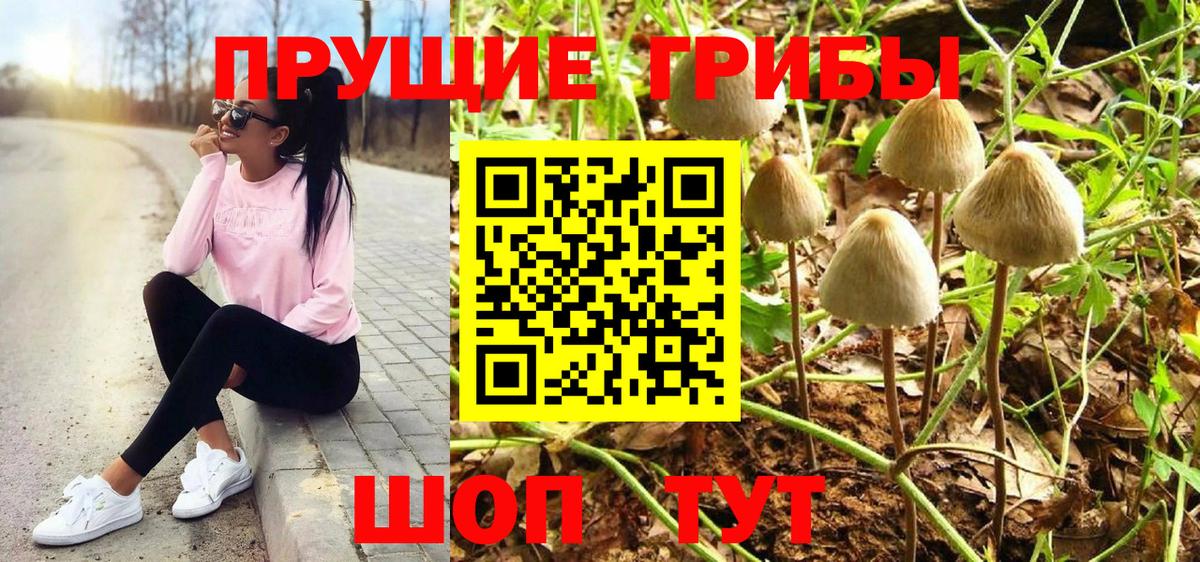 Галлюциногенные грибы ЛСД Киреевск